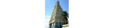 235. திருவாமாத்தூர்